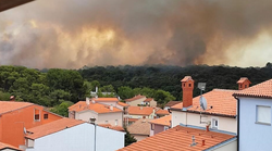 Grčka ponovo u plamenu: zbog šumskog požara evakuirana bolnica i nekoliko naselja
