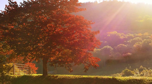 Sunčani dani se nastavljaju, učinak na dobre vibracije i zdravlje se poboljšava