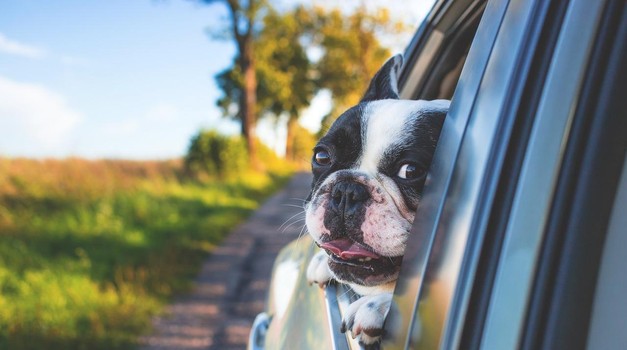 Ako ovaj predmet vozite u svom automobilu, možete platiti kaznu do 10.000 eura